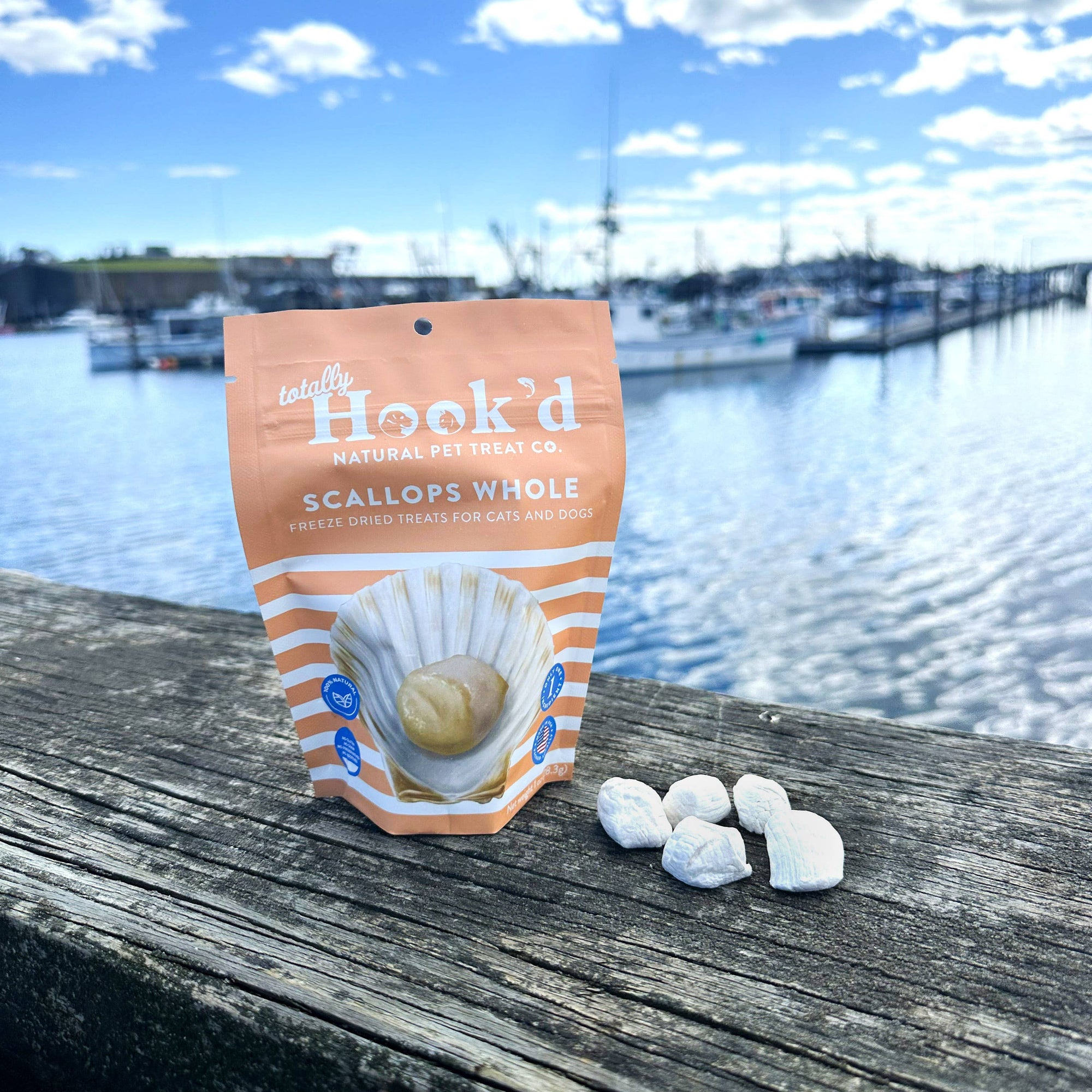 Freeze-Dried Scallops