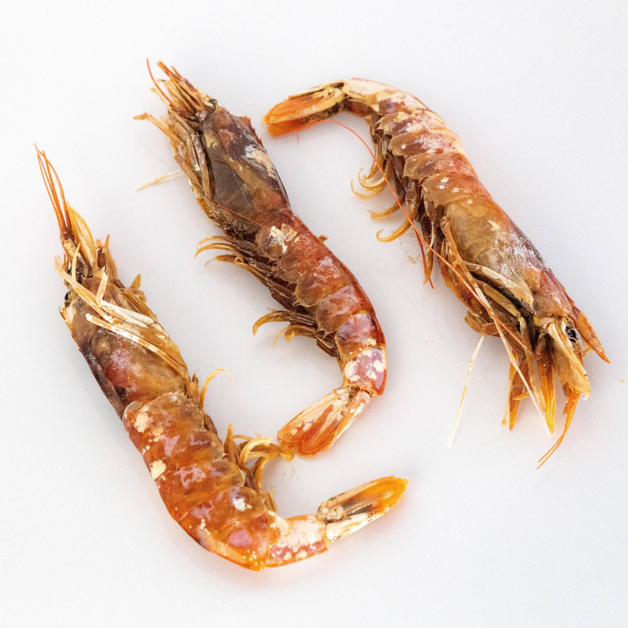 Dehydrated Argentine Red Shrimp