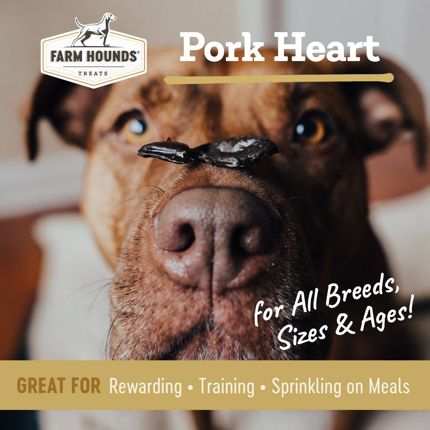 Pork Heart