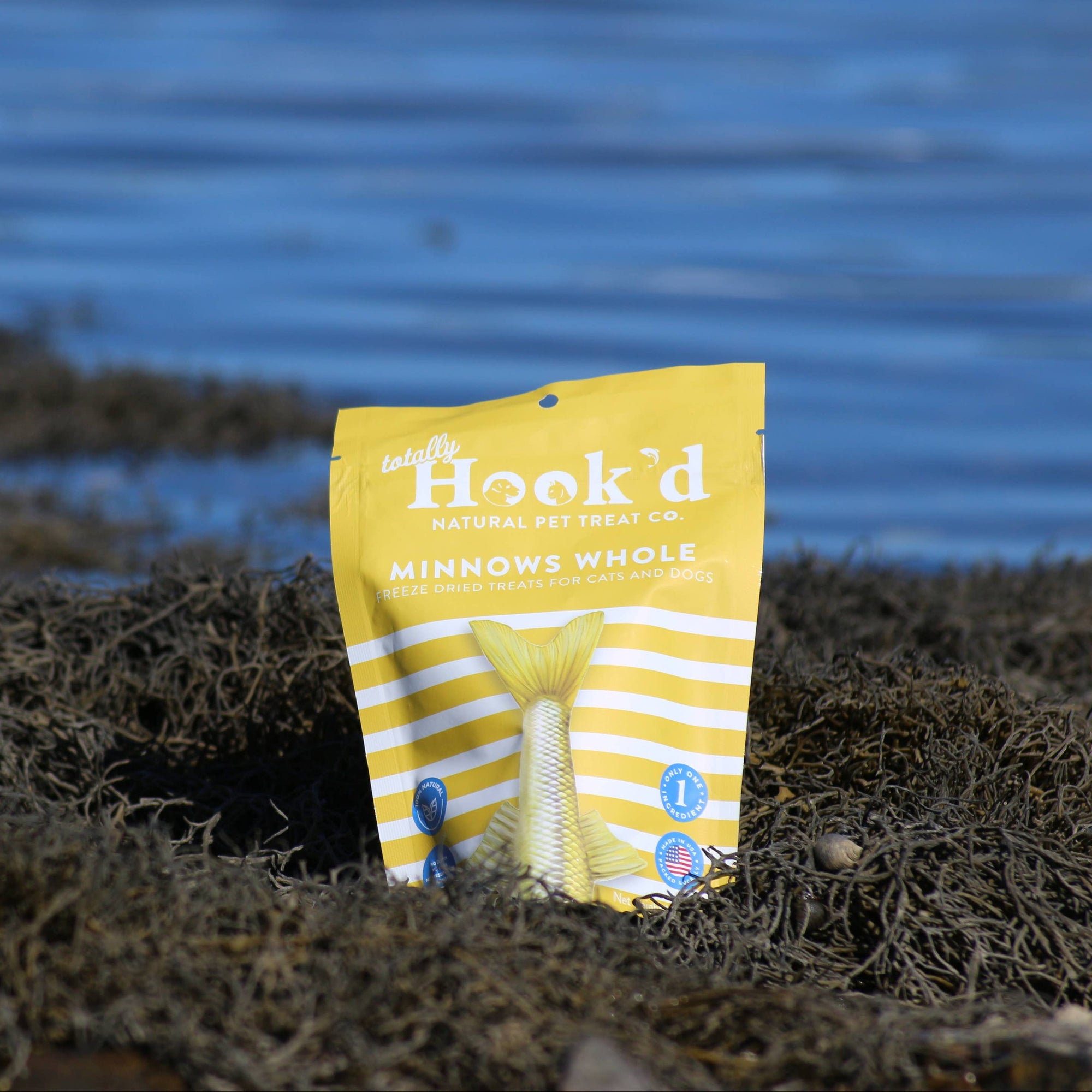 Freeze-Dried Minnows