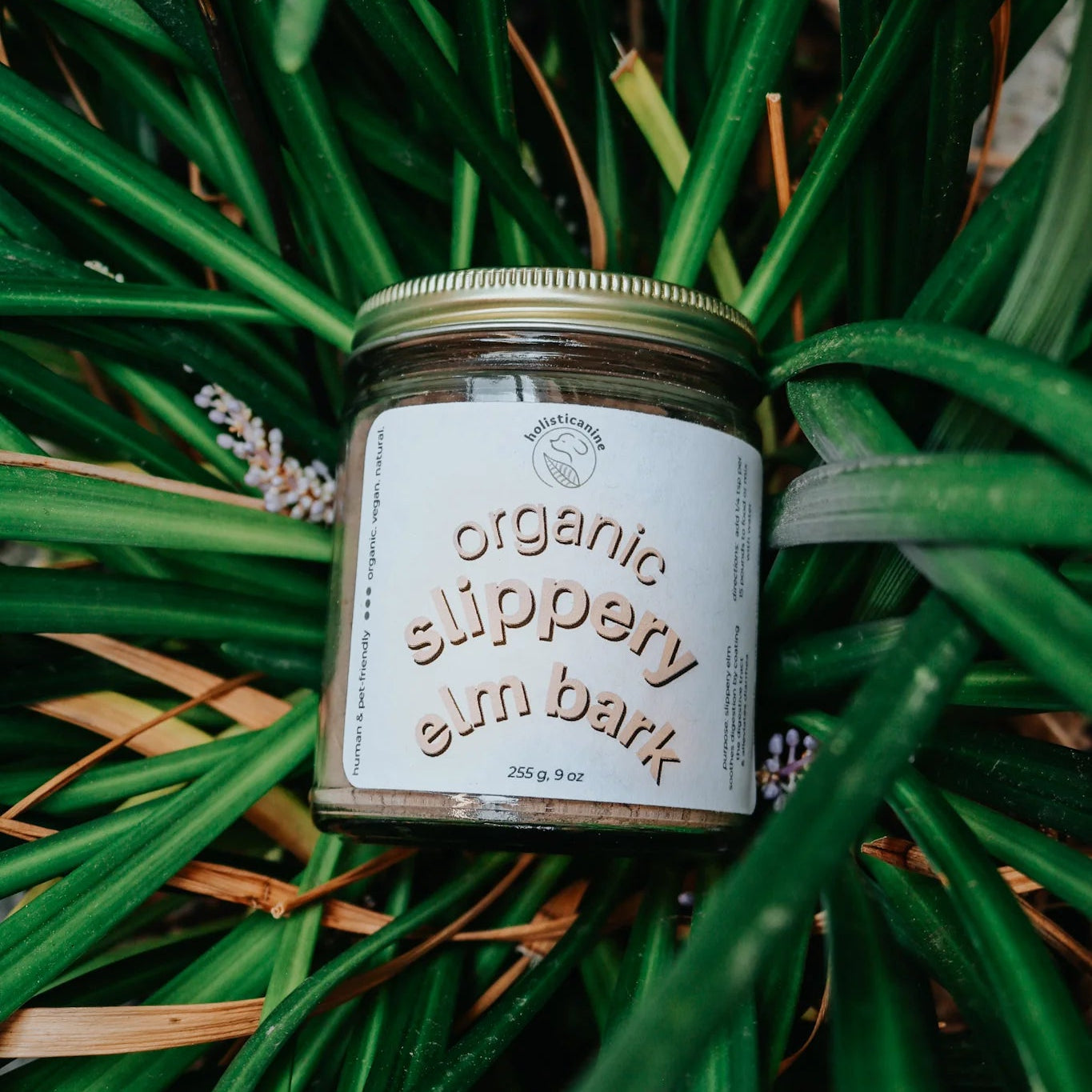 Jar of organic slippery elm bark surrounded by green leaves