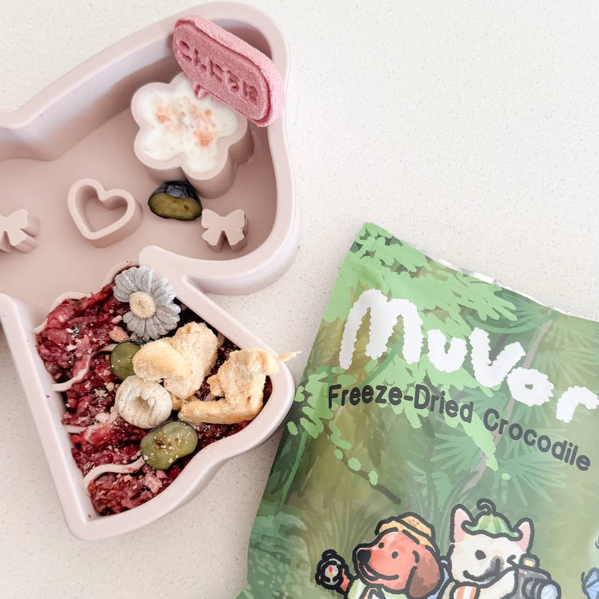 Freeze-Dried Crocodile Meat
