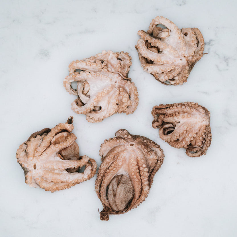 Five dried octopus pieces on a light gray background