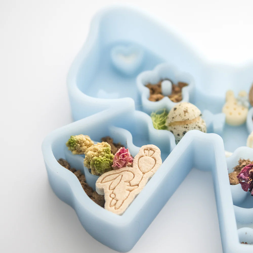 Coquette Forage Feeder (PolarBlue)